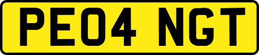 PE04NGT