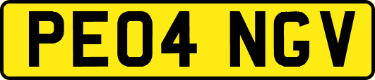 PE04NGV