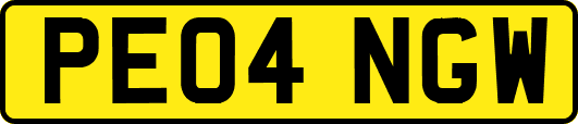 PE04NGW