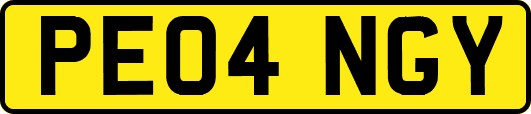 PE04NGY