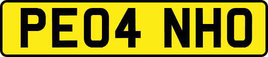 PE04NHO