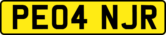 PE04NJR