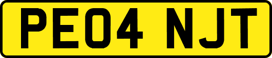 PE04NJT