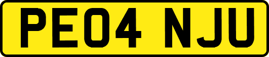 PE04NJU