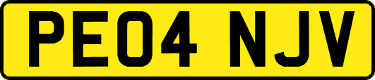 PE04NJV
