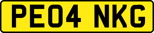 PE04NKG