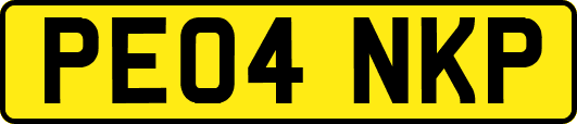 PE04NKP