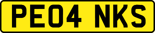 PE04NKS