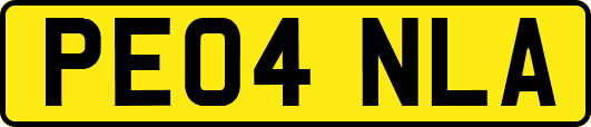 PE04NLA