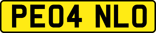 PE04NLO