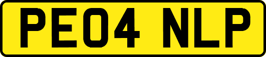 PE04NLP