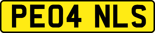 PE04NLS