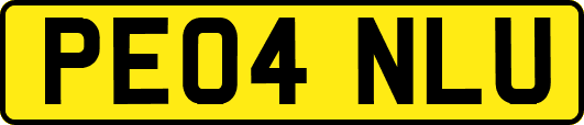 PE04NLU