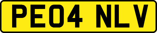 PE04NLV