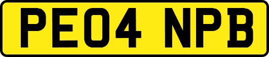 PE04NPB