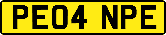PE04NPE