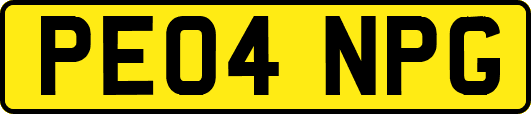 PE04NPG