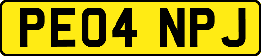 PE04NPJ