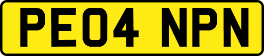 PE04NPN