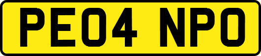PE04NPO
