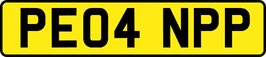PE04NPP