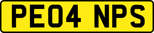 PE04NPS