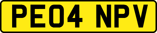 PE04NPV