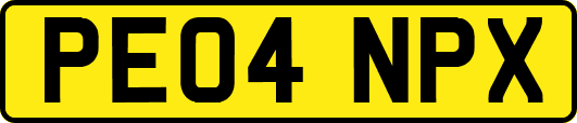 PE04NPX