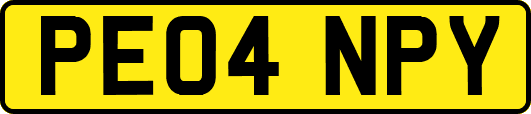 PE04NPY