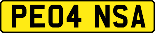 PE04NSA