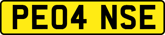 PE04NSE