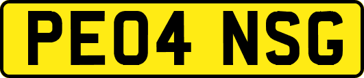 PE04NSG