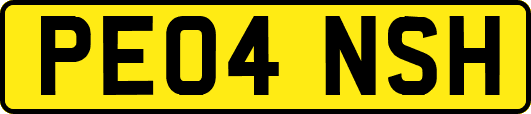 PE04NSH