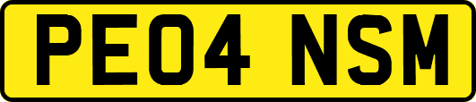 PE04NSM