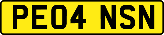 PE04NSN