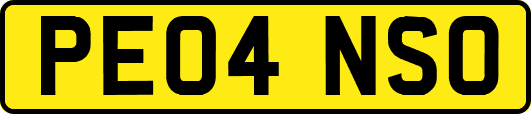 PE04NSO