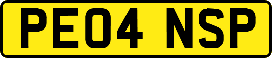 PE04NSP