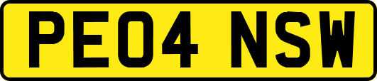 PE04NSW