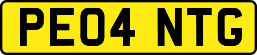 PE04NTG
