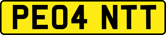 PE04NTT