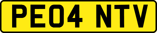 PE04NTV