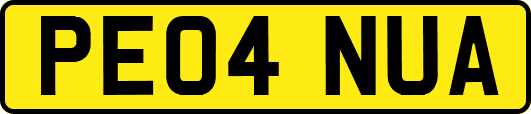 PE04NUA
