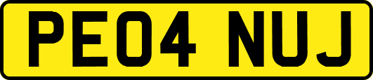 PE04NUJ