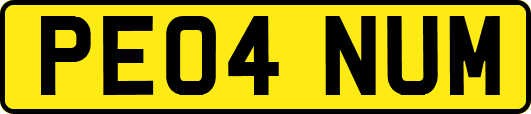 PE04NUM