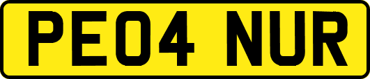 PE04NUR
