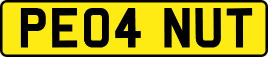 PE04NUT