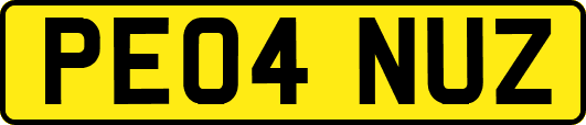 PE04NUZ