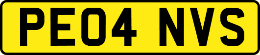 PE04NVS