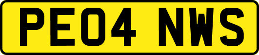 PE04NWS