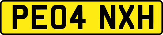 PE04NXH